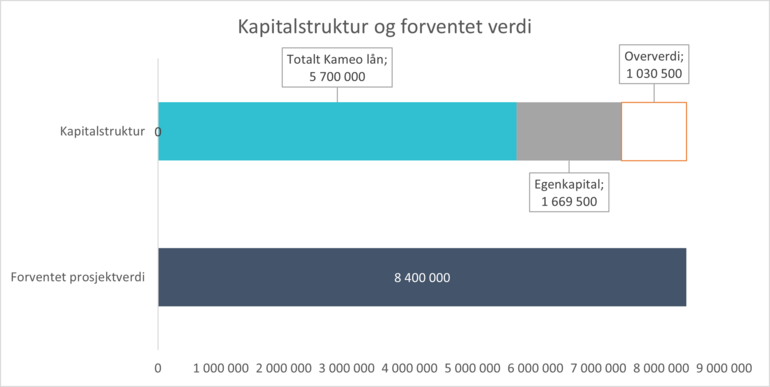 Diagram - kapitalstruktur oversikt