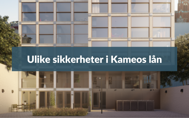 Ulike sikkerheter i Kameos lån Ulike sikkerheter i Kameos lån